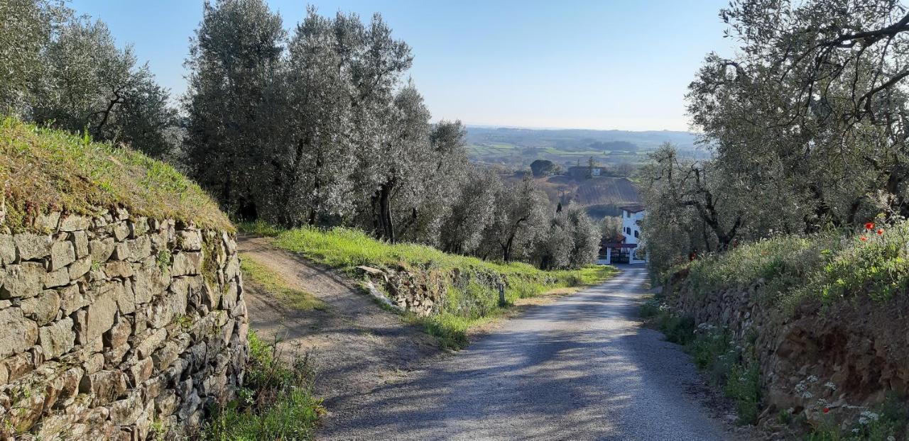 Il Fienile Di Tigliano Villa Винчи Екстериор снимка
